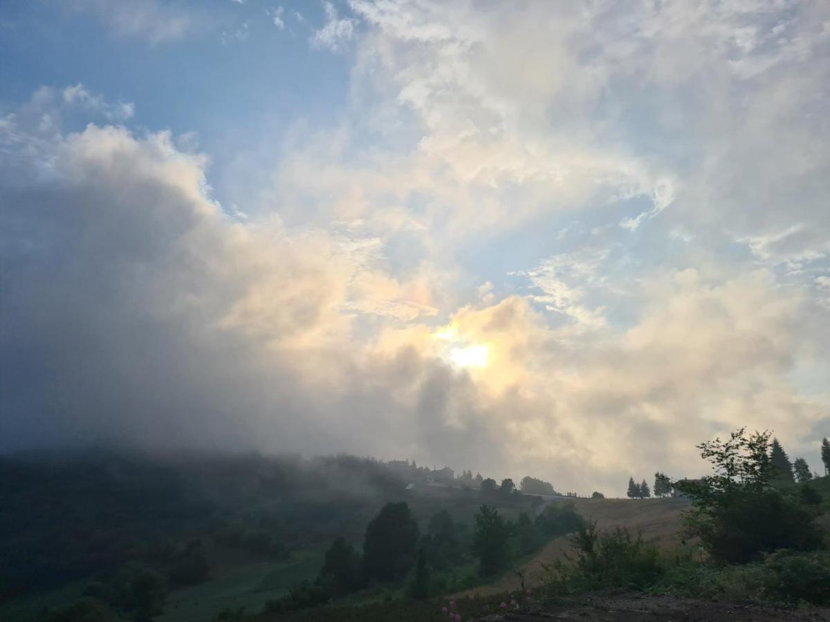 Cortina Resort Ivanjica Dış mekan fotoğraf